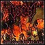 Downcast - Confessions Of The End - 4 Punkte Downcast - Confessions Of The End - 4 Punkte