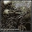 Lightning Swords Of Death - The Extra Dimensional Wound - 6,5 Punkte Lightning Swords Of Death - The Extra Dimensional Wound - 6,5 Punkte