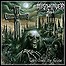 Mistweaver - Tales From The Grave - 7 Punkte Mistweaver - Tales From The Grave - 7 Punkte