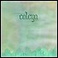 Caleya - These Waves Will Carry Us Home - 8,5 Punkte Caleya - These Waves Will Carry Us Home - 8,5 Punkte