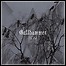 Gallhammer - The End - 6 Punkte Gallhammer - The End - 6 Punkte