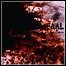Faal - The Clouds Are Burning - 7 Punkte Faal - The Clouds Are Burning - 7 Punkte