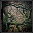 Desolation - Desoriented Desolation - Desoriented