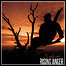 Rising Anger - Mindfinder Rising Anger - Mindfinder