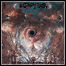 Blasphemophagher - The III Command Of The Absolute Chaos Blasphemophagher - The III Command Of The Absolute Chaos