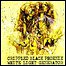 Crippled Black Phoenix - White Light Generator Crippled Black Phoenix - White Light Generator