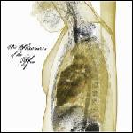 Pet Slimmers Of The Year - ...And The Sky Fell (EP)