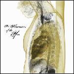 Pet Slimmers Of The Year - ...And The Sky Fell (EP)
