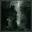 Auroch - From Forgotten Worlds Auroch - From Forgotten Worlds