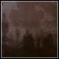 Inmitten Des Waldes / Mortualia - Split Inmitten Des Waldes / Mortualia - Split