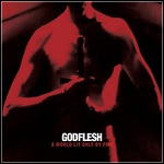 Godflesh - A World Lit Only By Fire