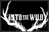 Into The Wild Into The Wild