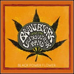 Brant Bjork And The Low Desert Punk Band - Black Power Flower