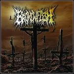 Broken Flesh - Broken Flesh