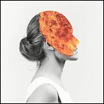 Agent Fresco - Destrier