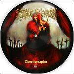 Cradle Of Filth - Thornographic (Single)