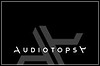 Audiotopsy