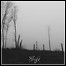 Grift - Syner - 8 Punkte Grift - Syner - 8 Punkte