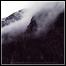 Falls Of Rauros - The Light That Dwells In Rotten Wood Falls Of Rauros - The Light That Dwells In Rotten Wood