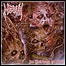 Master - An Epiphany Of Hate - 8 Punkte Master - An Epiphany Of Hate - 8 Punkte