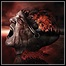 Suntorn - Symbiotic Polarity Suntorn - Symbiotic Polarity