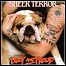Sheer Terror - Ugly And Proud