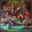 Antipeewee - Madness Unleashed Antipeewee - Madness Unleashed