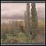 The Morningside - The Wind, The Trees And The Shadows Of The Past The Morningside - The Wind, The Trees And The Shadows Of The Past