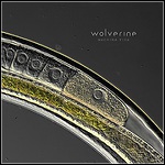 Wolverine - Machina Viva