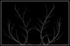 Vow Of Thorns Vow Of Thorns