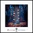 I See Stars - Treehouse I See Stars - Treehouse