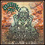 Cerebral Fix - Disaster Of Reality Cerebral Fix - Disaster Of Reality