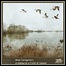 Beef Conspiracy - A Jigsaw Of A Flock Of Geese Beef Conspiracy - A Jigsaw Of A Flock Of Geese