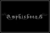 Amphisbaena Amphisbaena