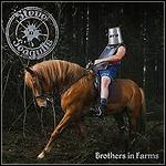 Steve 'N' Seagulls - Brothers In Farms