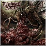 Ruptured Birth - Transmutant