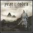 Year Of The Cobra - ...in The Shadows Below