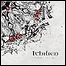 Ithilien - Shaping The Soul Ithilien - Shaping The Soul