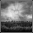 Glare Of The Sun - -Soil-