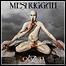 Meshuggah - Obzen - 10 Punkte