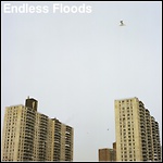 Endless Floods - II