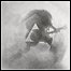 Cult Of Luna - Live At Roadburn 2013 (Live) Cult Of Luna - Live At Roadburn 2013 (Live)