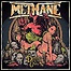 Methane - The Devil's Own