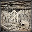 Bereft - Lands Bereft - Lands