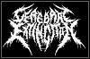 Cerebral Extinction