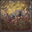 Pyrrhon - What Passes For Survival Pyrrhon - What Passes For Survival