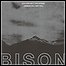 Bison - You Are Not The Ocean You Are The Patient