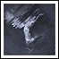 Neun Welten - The Sea I'm Diving In Neun Welten - The Sea I'm Diving In