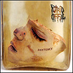 Putrid Offal - Anatomy (EP)